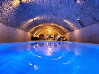 GITE LONGERE DE 15 PERSONNES AU CHATEAU DE JALLANGES VOUVRAY - 2
