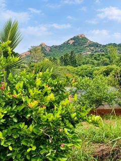 SRI FARMS HomeStay in Kanakapura - 7