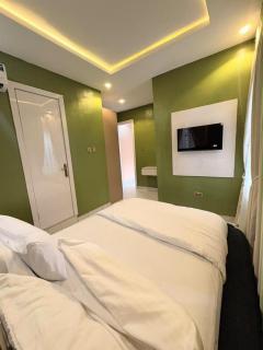Brand New One Bedroom Apartment - 3