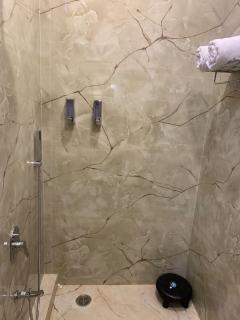 Hotel Shree Inn - 2