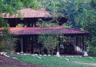 Hotel de selva EL PUENTE - 8