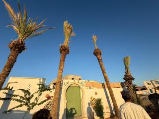 Dar El Ayla Houch in Djerbahood - Private swimming pool - 9