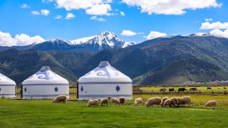 Black Bean Cafe & Wild Retreat - Shangri La - Where Tibetan Heritage Meets Untamed Wilderness - Round-trip Shuttle Service to Dukezong Ancient Town & Airport or TS - 3