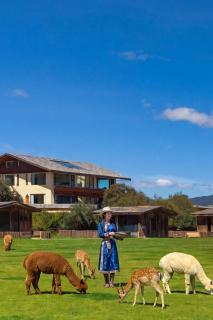 Black Bean Cafe & Wild Retreat - Shangri La - Where Tibetan Heritage Meets Untamed Wilderness - Round-trip Shuttle Service to Dukezong Ancient Town & Airport or TS - 1