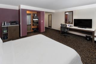 Hilton Garden Inn Montreal Centre-Ville - 2