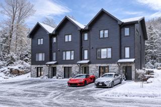 New Modern Chalet! Lake, Game Room & Fireplace! - 9