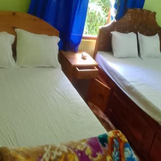 Lepcha Homestay Sittong By StayApart - 8