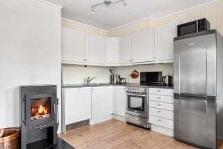 Trysil Ski-In, Ski-Out Apartment, Sauna, Sleeps 6 - Mælem - 4