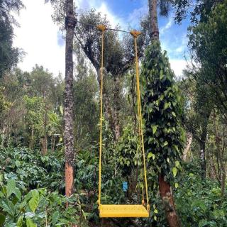 Nature Green Homestay By StayApart - 0
