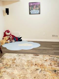 Luxury Basement Suite 9-Min to YYZ - 2