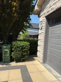 Luxury Basement Suite 9-Min to YYZ - 9