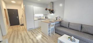 Premium family apartman - Free parking - 3