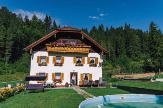 Haus Tanne Abtenau - 2