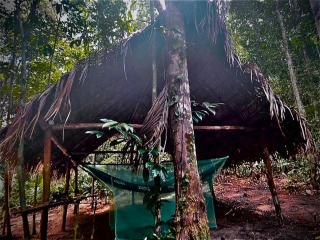 Amazonas Eco Tour - Private Jungle Tour, River Tour or Great Adventure TOUR INCLUDED ONLY IN DELUXE ROOMS - 4