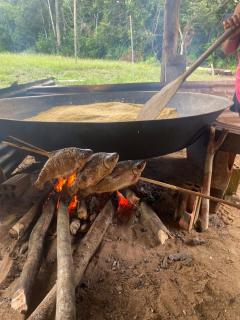 Amazonas Eco Tour - Private Jungle Tour, River Tour or Great Adventure TOUR INCLUDED ONLY IN DELUXE ROOMS - 2