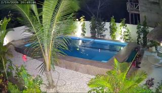 Jawda Villa - 4