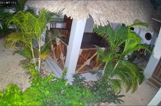 Jawda Villa - 5