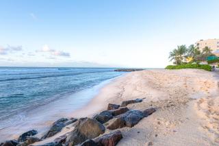 Hotel Indigo Bridgetown Barbados by IHG - 4