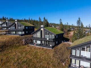 FA992 Family apartment in Trysil, Sleeps 8 - 1