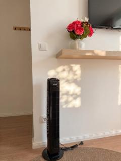 2 Rooms, 2 TVs, full Kitchen - T25 - 1