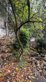 La Maison de la Source - 9
