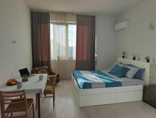 Big room with mountain views - 6