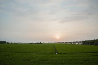 Alvera Private Estate - By Elite Stays - 8