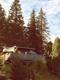 Pine & Peaks Alpine Cottage Lachtal 1650 m - 6