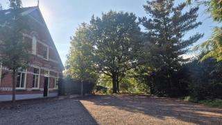 Wijndomein Erve Wisselink - 9