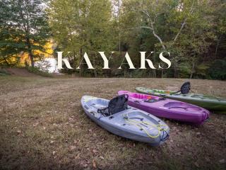 Private Lakefront Retreat Pool, Hot Tub, Kayaks - 3