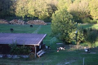 Natur am Ochsenhof - 5