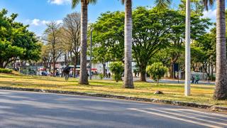 Apartamentos disponíveis na 711 Norte, bem no centro de Brasília - 7