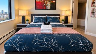 Modern Comfort Suite - 8