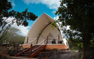 Thornwood Glamping Yala - 0