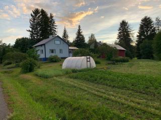 Cottage House and Garden near Lake Pyhäjärvi - 2