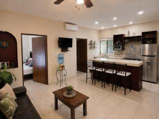 Tortuga at Casa Tres Soles Bucerias, 2 Bedroom 2 Bath, Pool, Close to Beach and Downtown - 4
