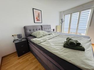 Moderne Ferienwohnung nahe Rheinfall & Bodensee - 6