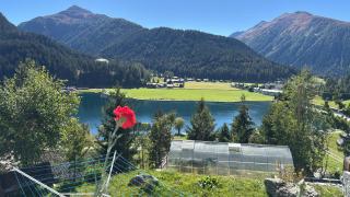 Meierhof am See in Davos Dorf - ruhige, gemütliche 2-Zi-Whg mit super Aussicht auf Berge und See! - 9