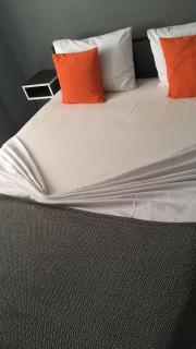 No19 pet otel 2 - 1
