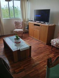 Apreciando la montaña, departamento centrico - 7