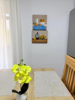 Cozy Central 2 Bedroom Apartment in Myslym Shyri - 5