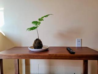 Ngọc Hà Homestay Phan Thiết - Ấp Bình Hưng - 2