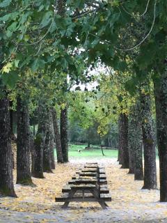 Casinha de Pedra - Penacova - 4