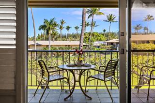 Napili Shores H263 - 0