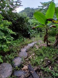 Maya Cave House - 3