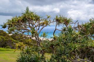 Pandanus Palms Ocean View Holiday Resort on Point Lookout - 9