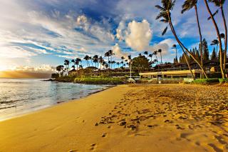 Napili Shores E135 - 9