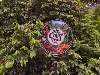 Farm stay in a coffee plantation - 3
