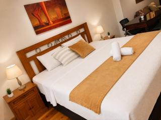 Mini Apartamento con ingreso independiente - 9