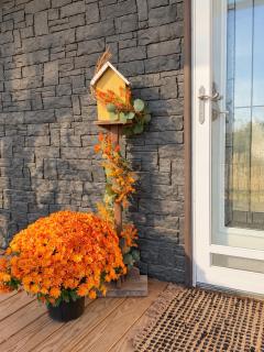 Countryside Cottage - 7